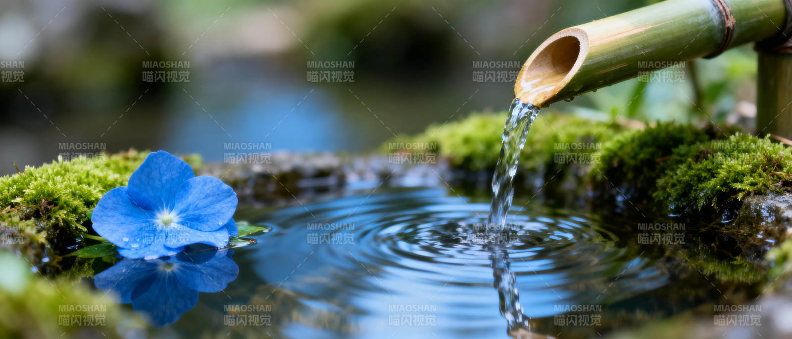 竹流清泉映蓝花图片