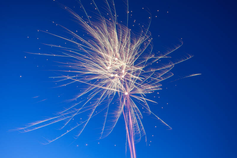 2026 元旦烟花绽放夜空图片