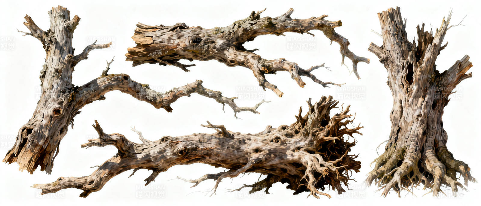 枯木形态各异图片
