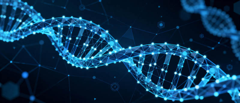 DNA双螺旋结构图片