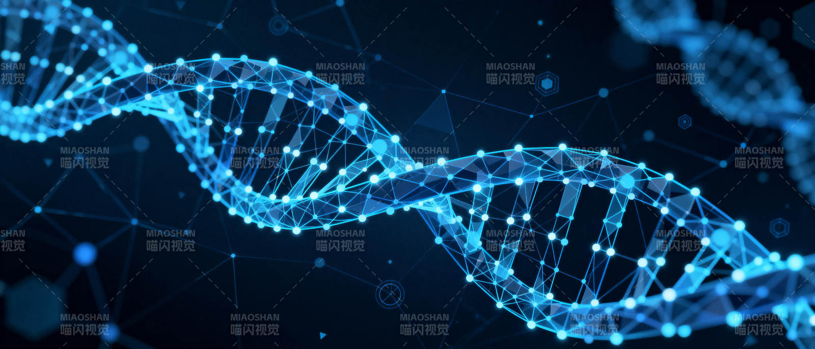 DNA双螺旋结构图片