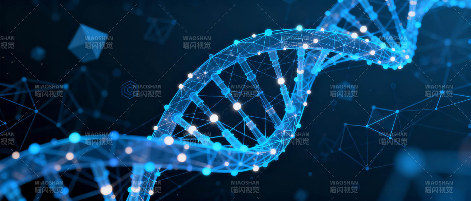 DNA双螺旋结构图片