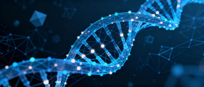 DNA双螺旋结构图片