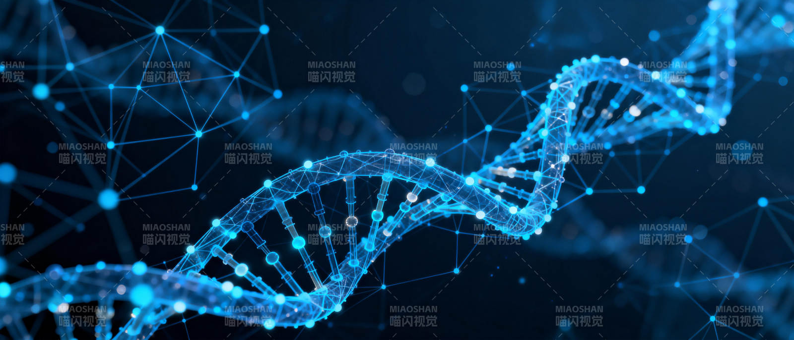 DNA双螺旋结构图片