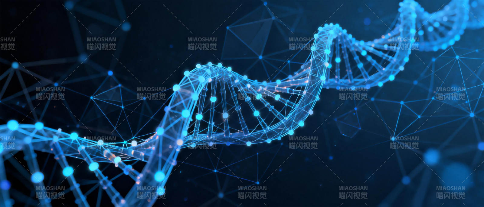 DNA双螺旋结构图片