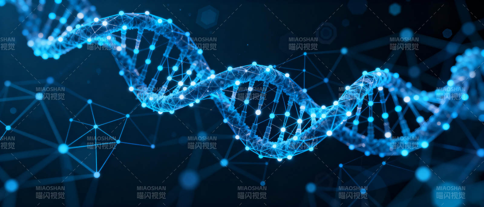 DNA双螺旋结构图片
