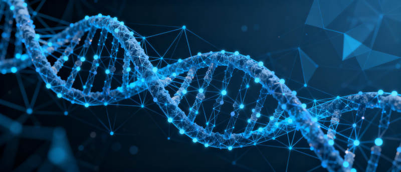 DNA双螺旋结构图片