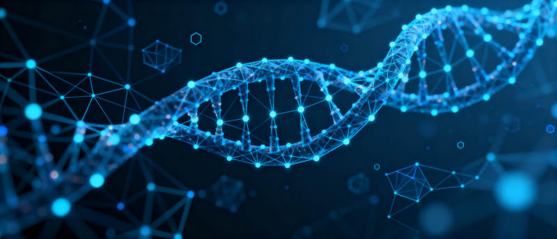 DNA双螺旋结构图片