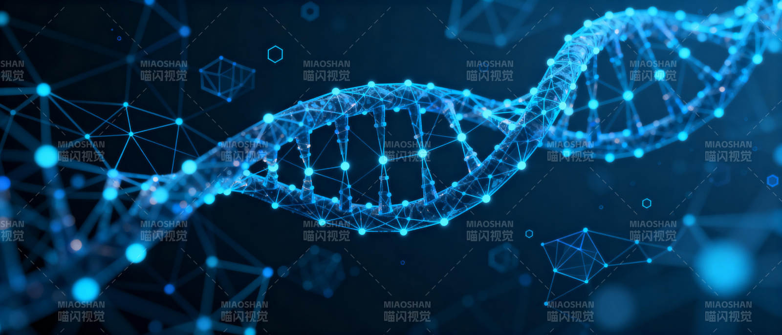 DNA双螺旋结构图片