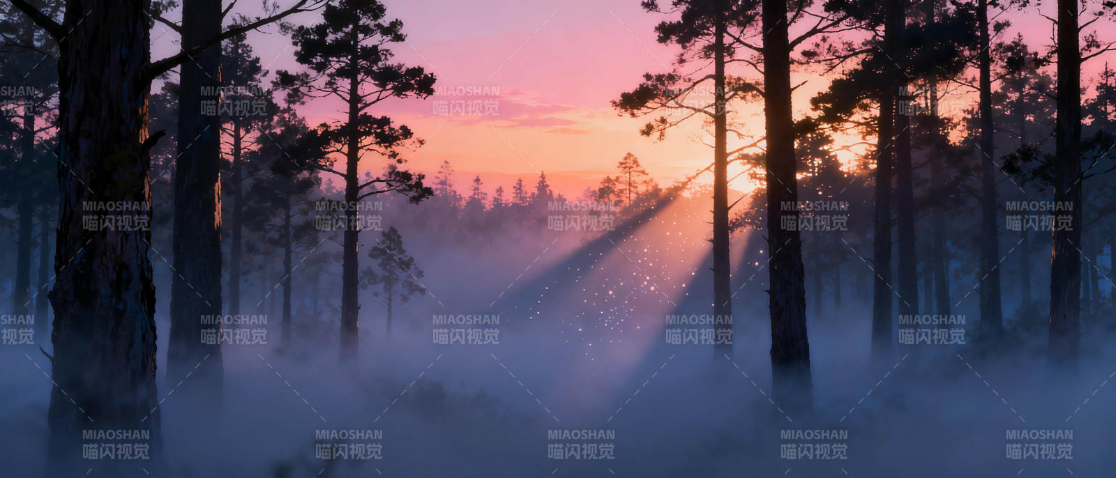 晨雾森林日出图片