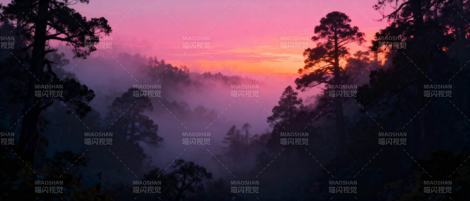 晨雾映霞光图片