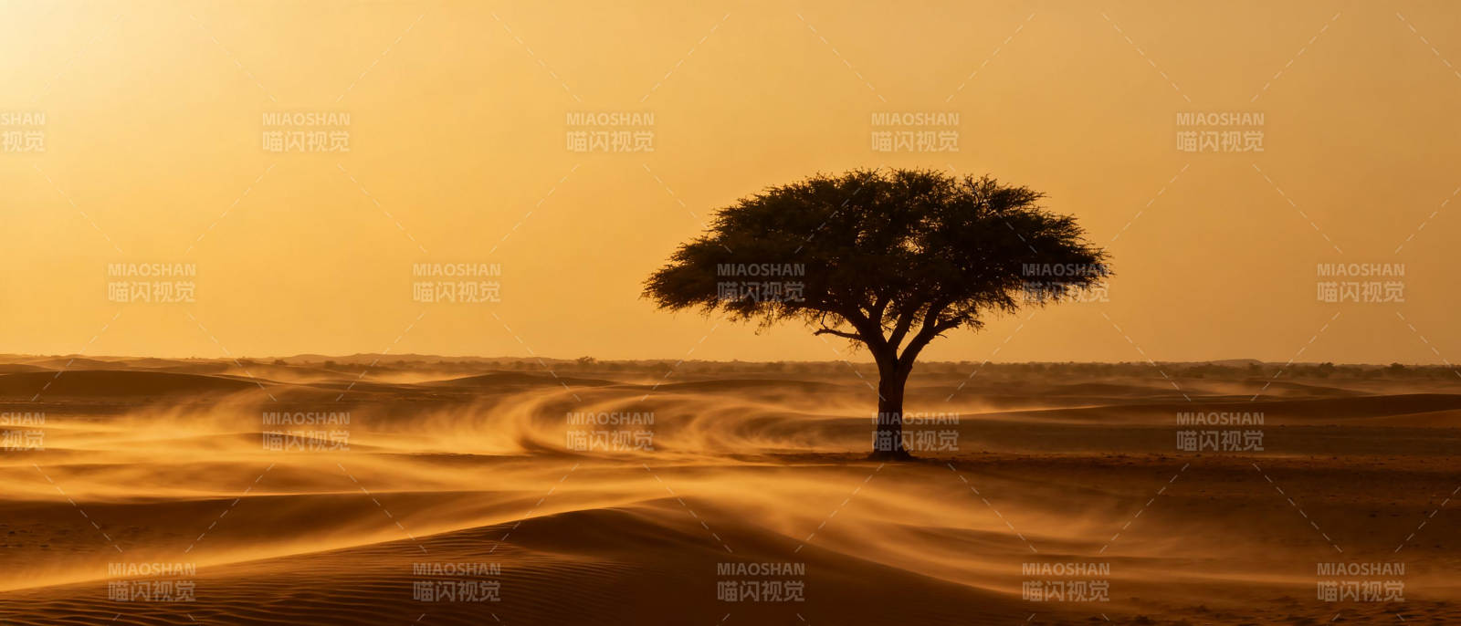 沙漠孤树剪影图片