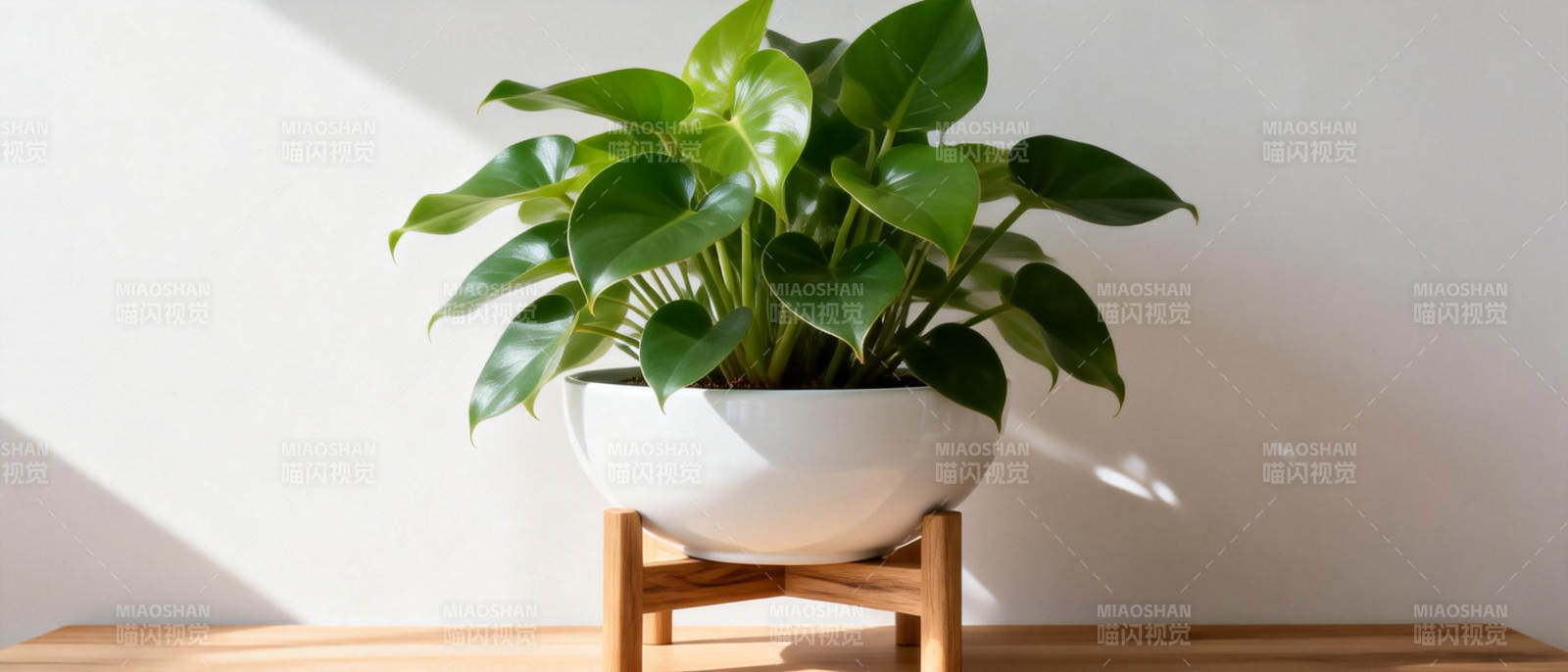 绿植静置木架上图片