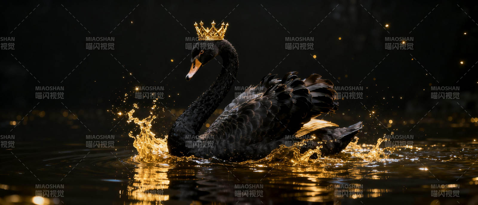 黑天鹅戴皇冠图片