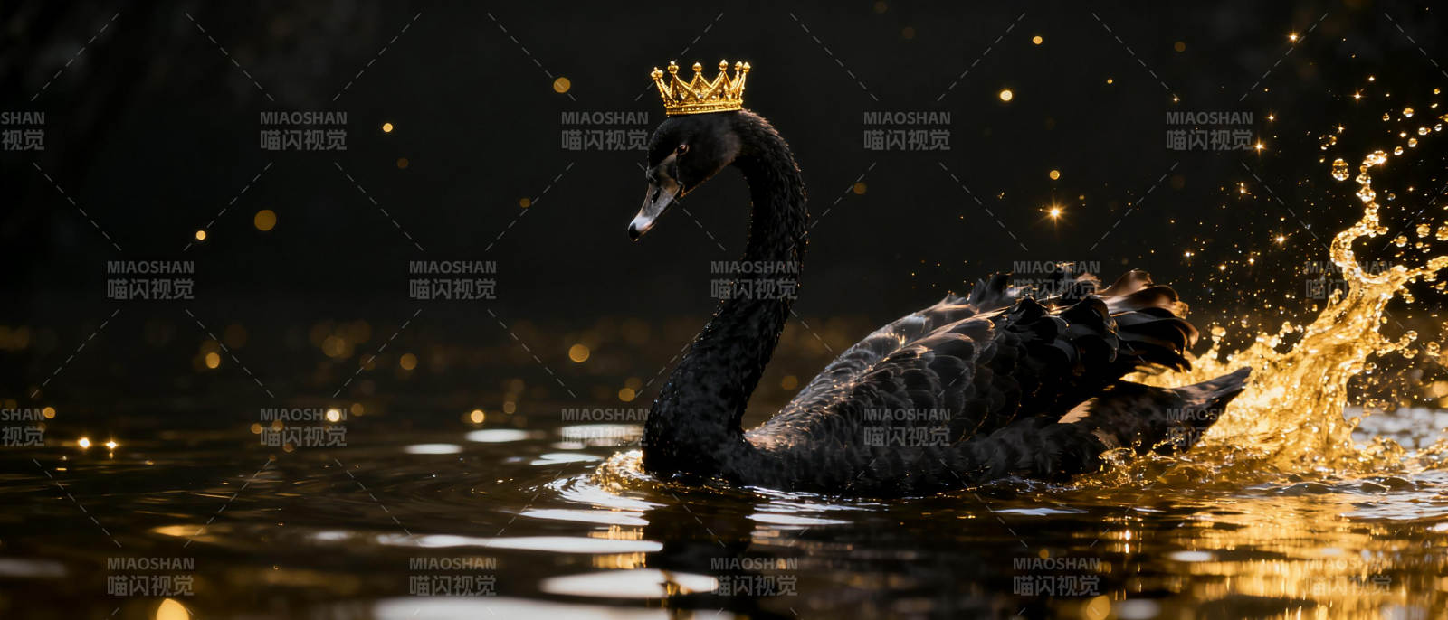 黑天鹅戴皇冠图片