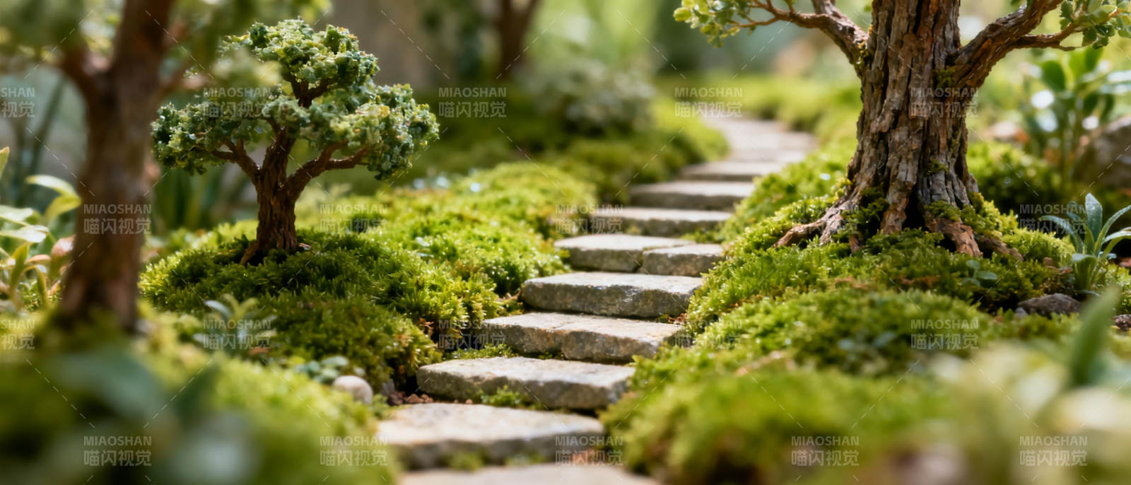 幽径翠意盎然图片