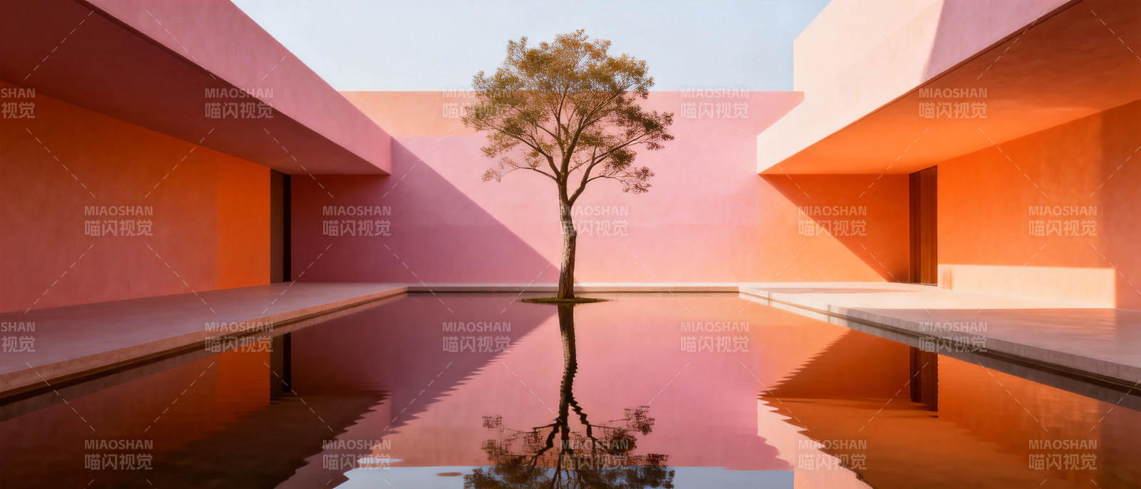 粉墙树影水镜图片