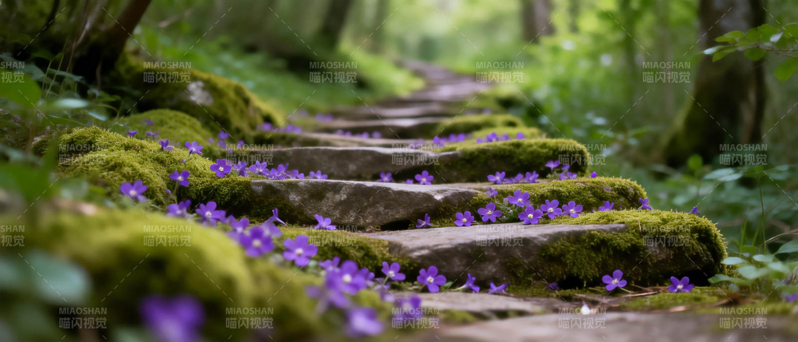林间紫花小径图片