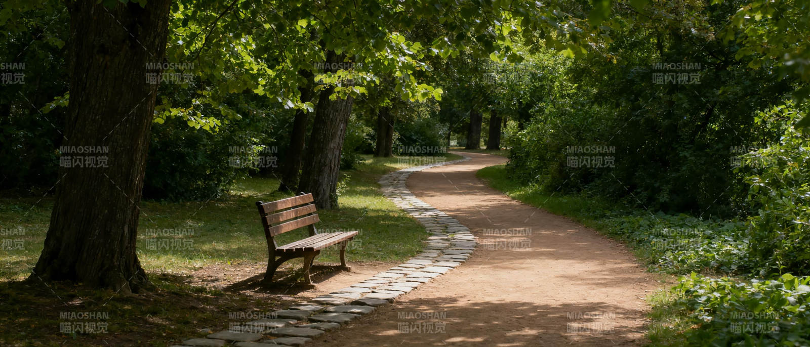 林间小径静谧景图片