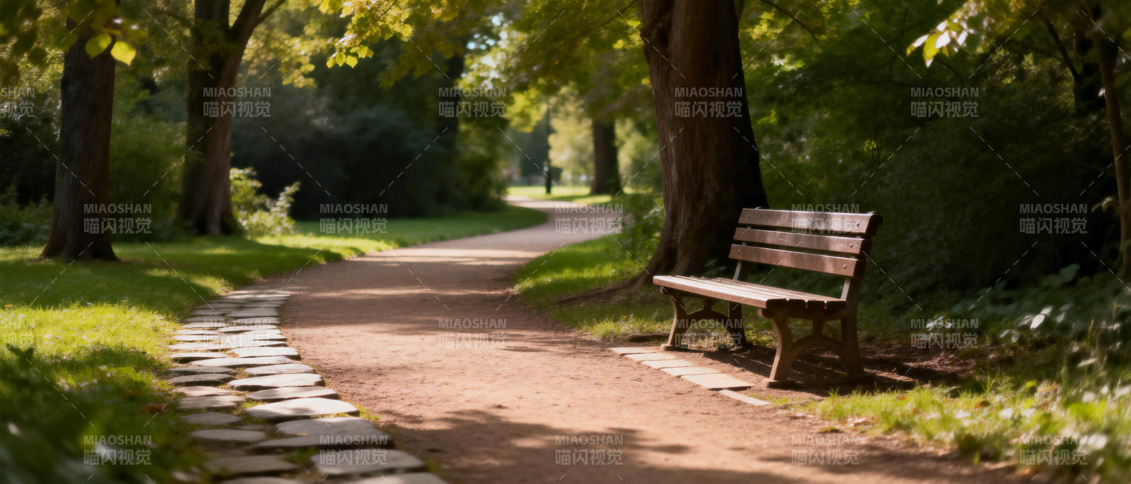 林间小径静谧长椅图片
