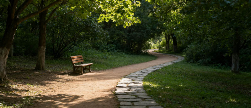 林间小径静谧景图片