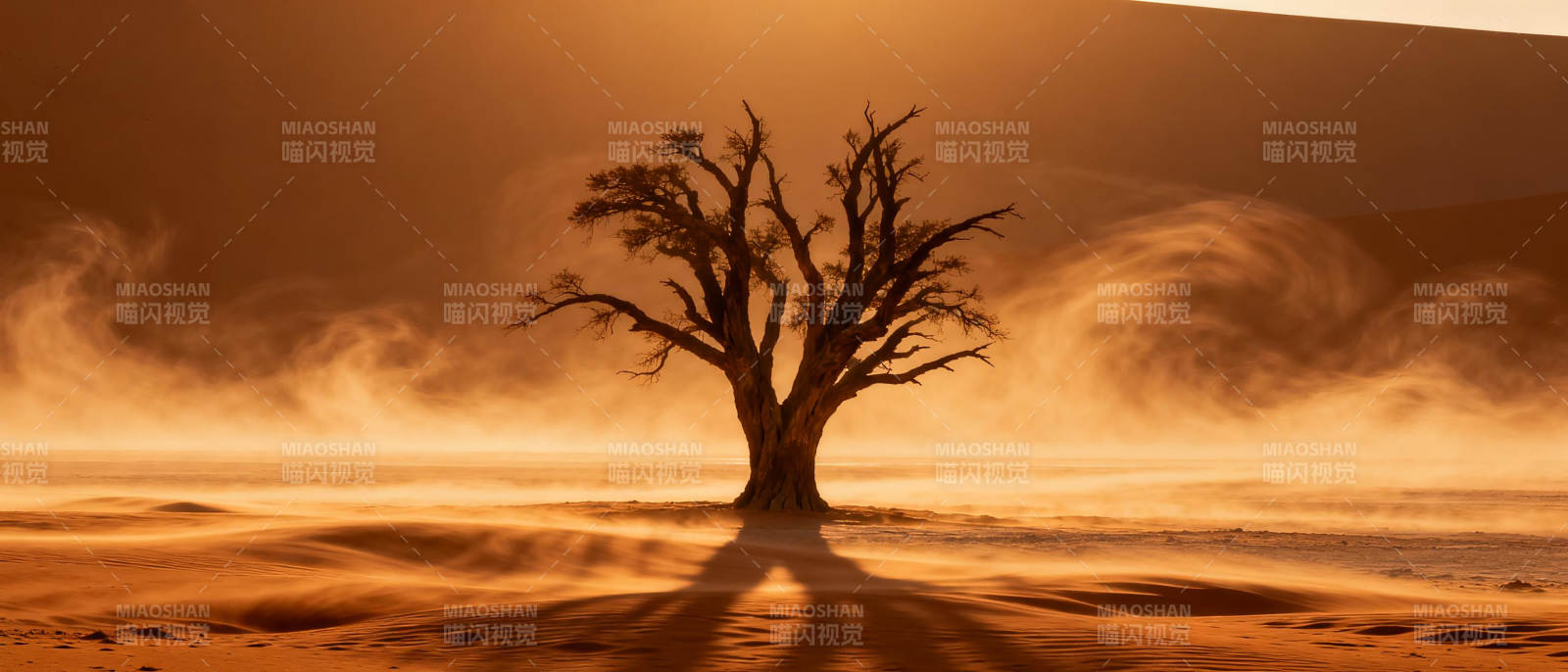 孤树沙海暮色图片