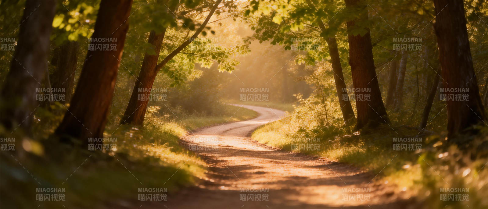 林间小径晨光图片