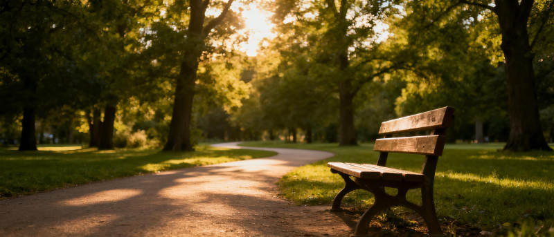 公园晨光中的长椅图片