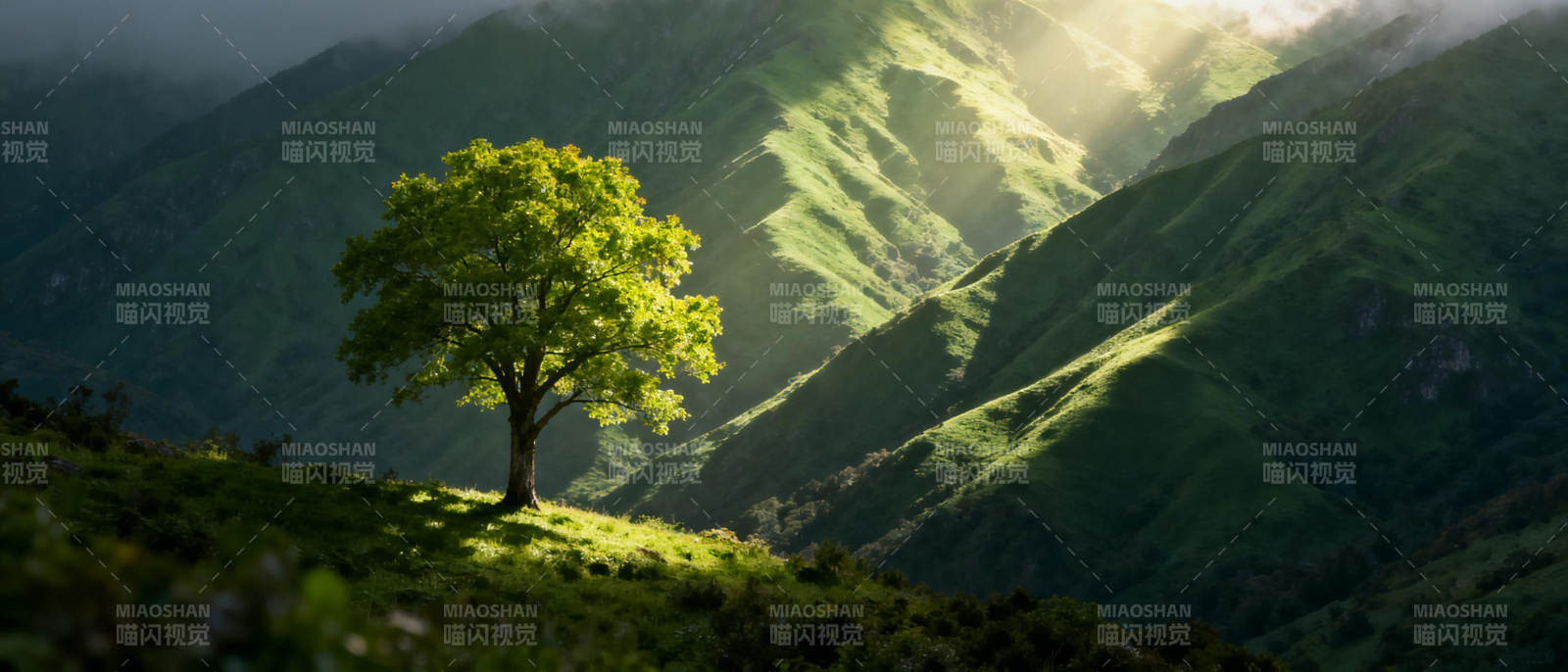 孤树映山光图片