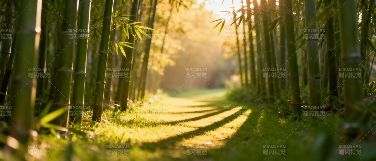 竹林小径光影图片