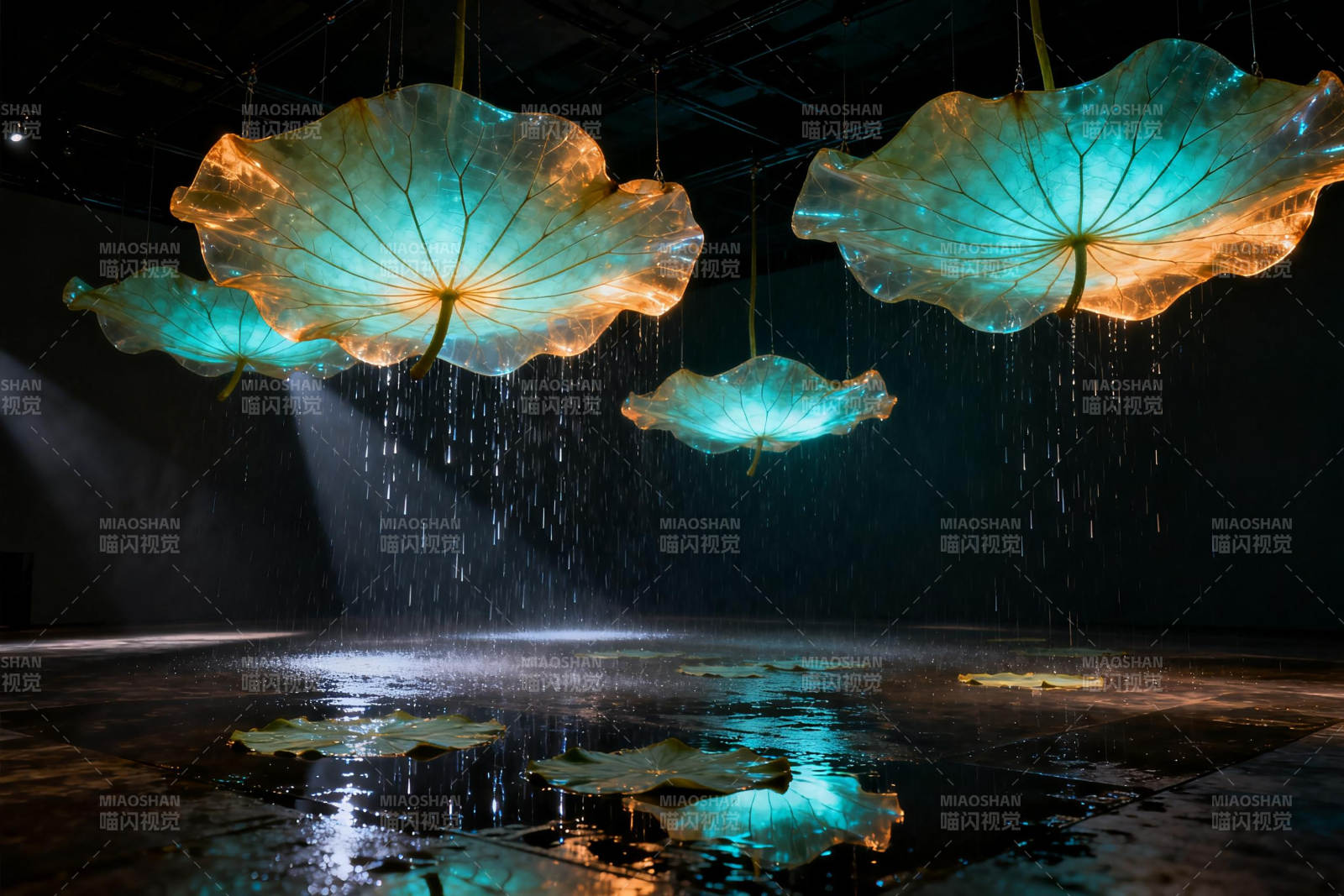 莲叶悬空 水光潋滟图片