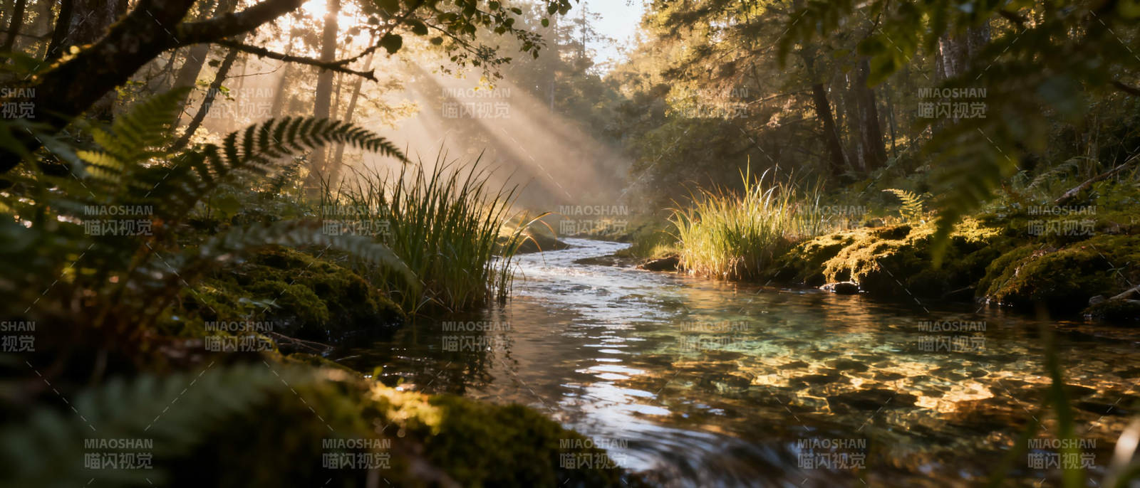 林间溪流光影图片