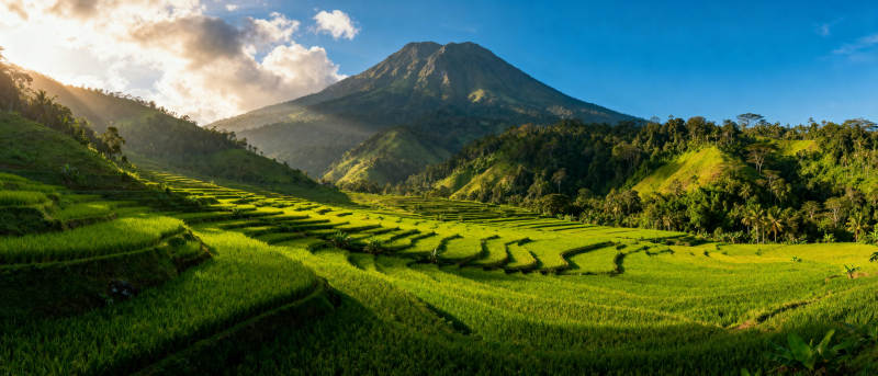 梯田与火山美景图片