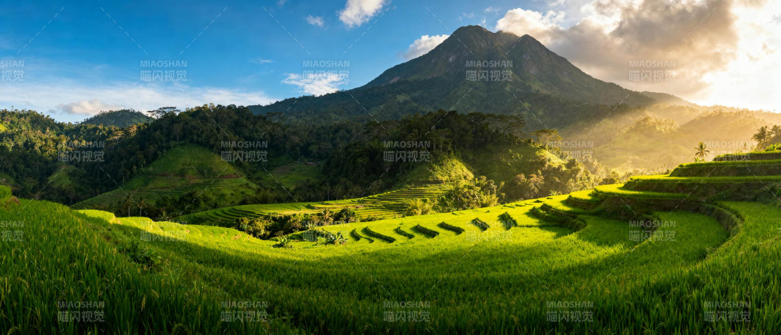 梯田晨光山影图片