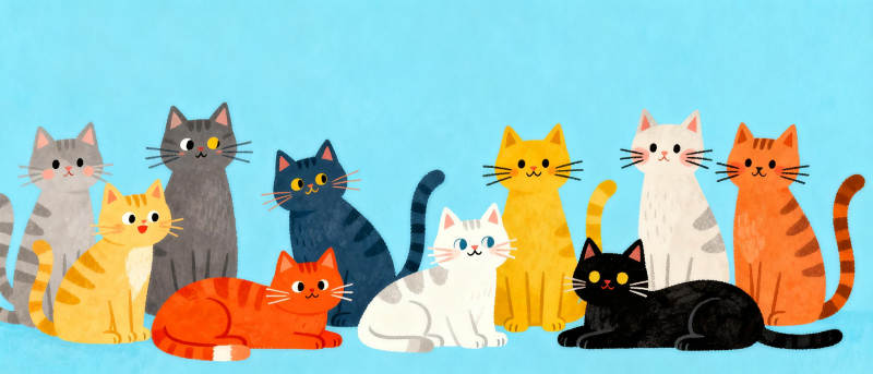 七只猫咪的聚会图片