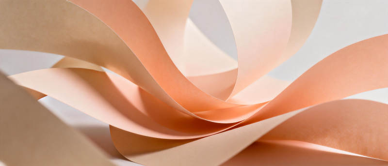 柔美纸艺绽放图片