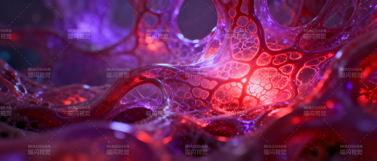 神秘细胞之光图片