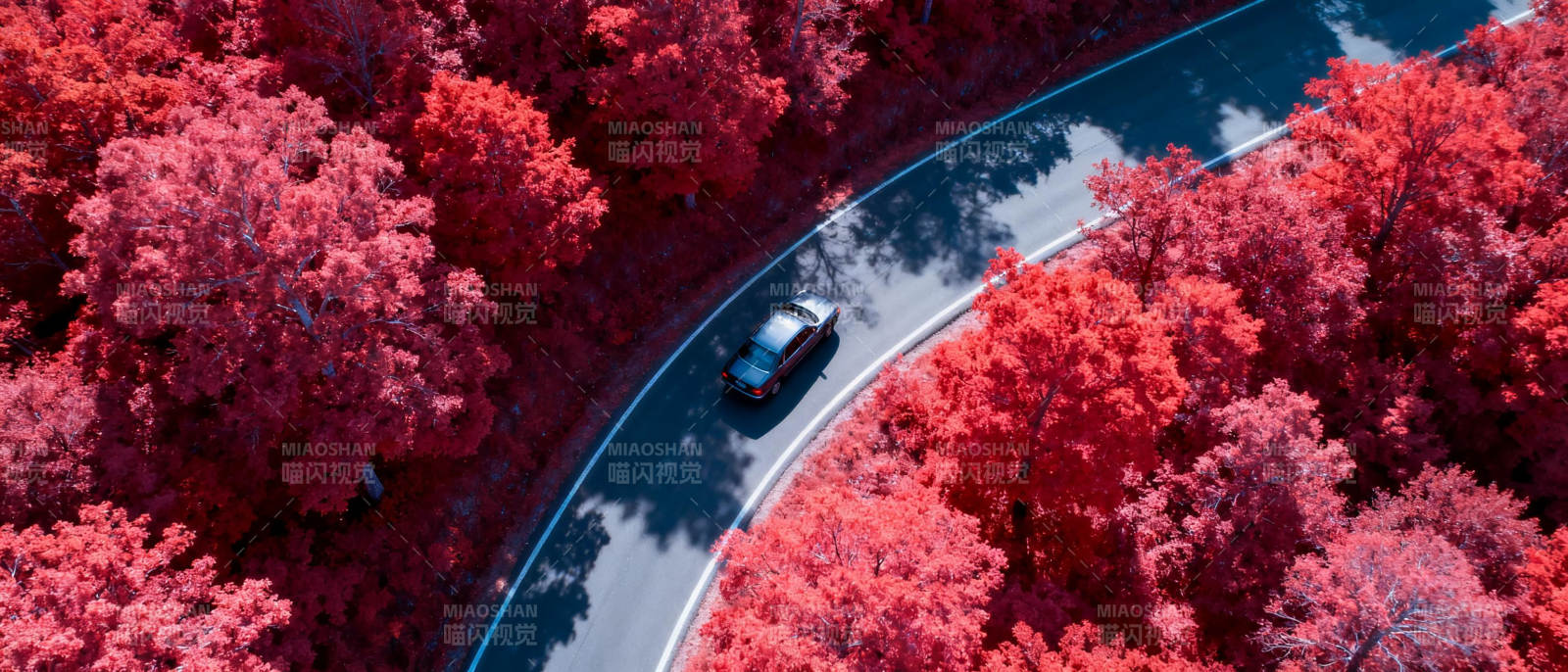 红林曲道车行图片