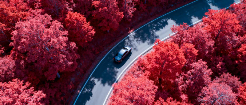 红林曲道车行图片