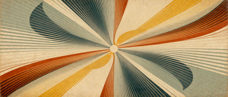 色彩螺旋绽放图片