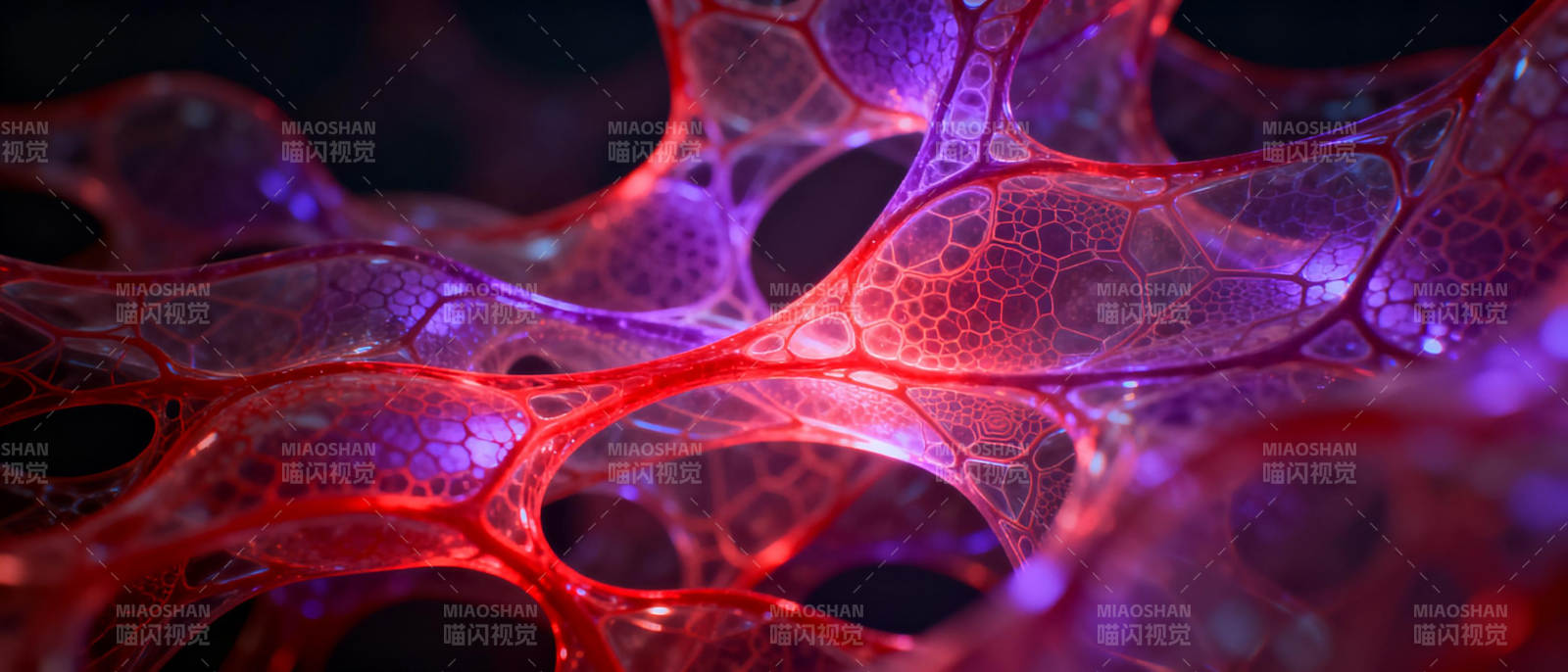 炫彩细胞网络图片