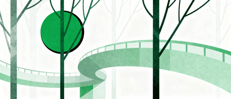 绿意盎然的森林小径图片