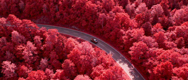 红林曲道车行图片