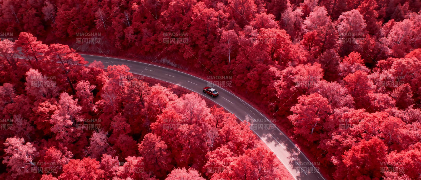 红林曲道车行图片