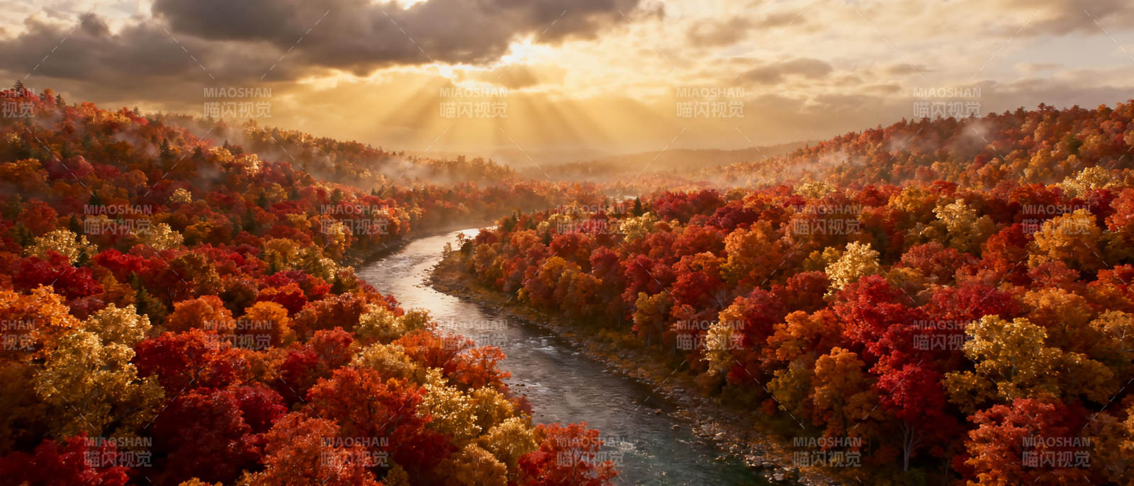 秋林溪流日出图片