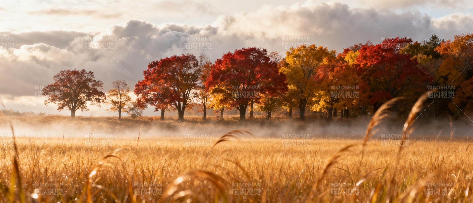 秋日田野风光图片