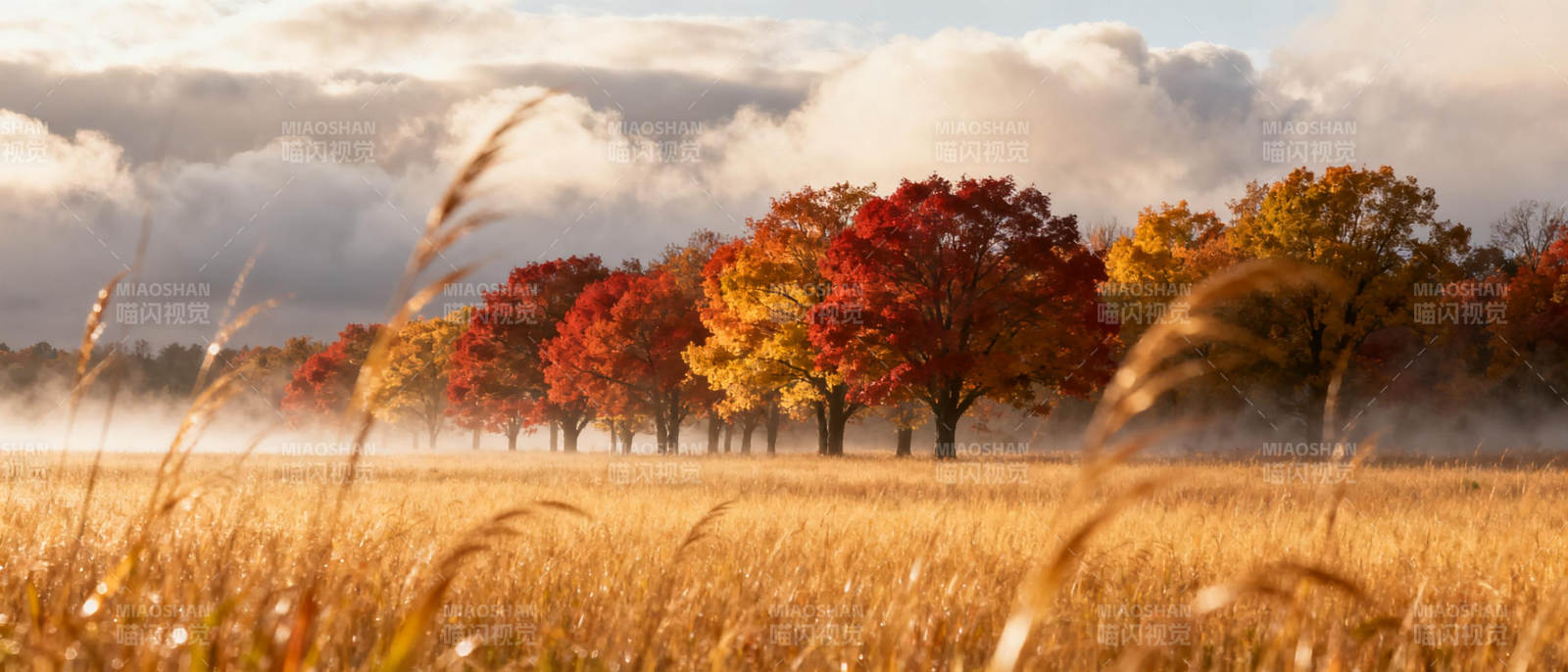 秋日田野风光图片