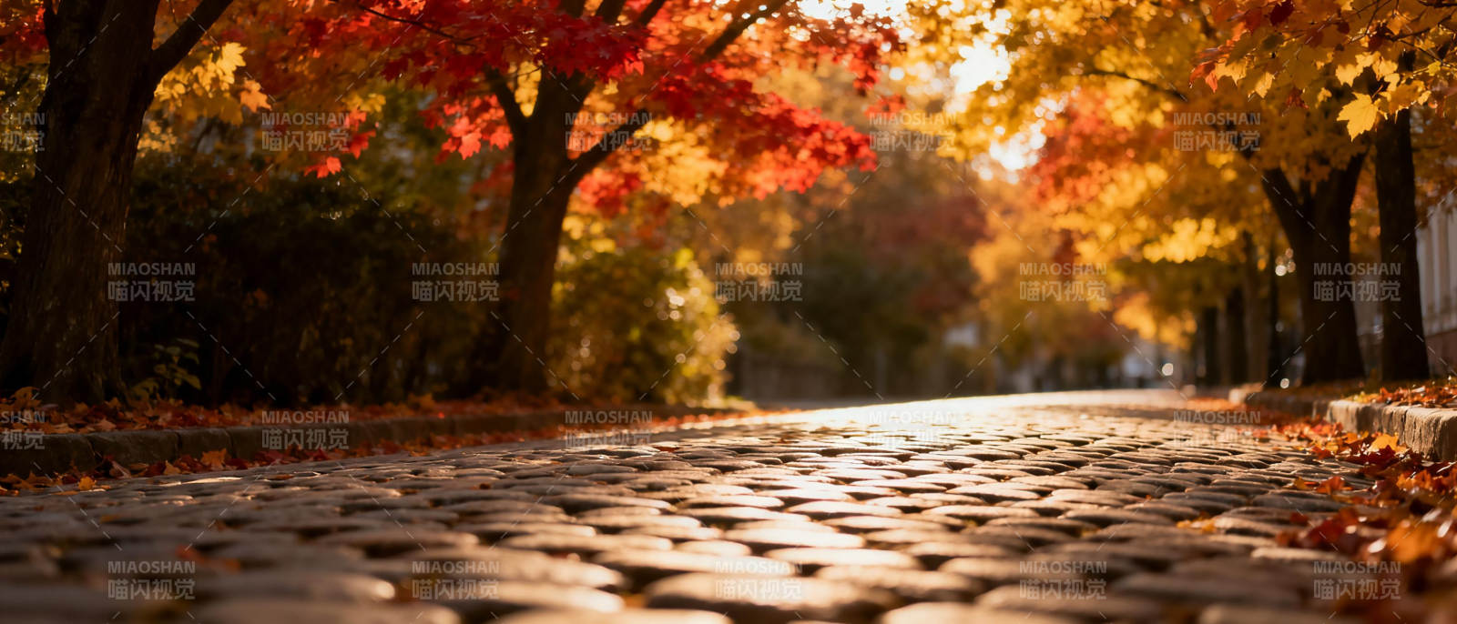 秋日林荫道图片