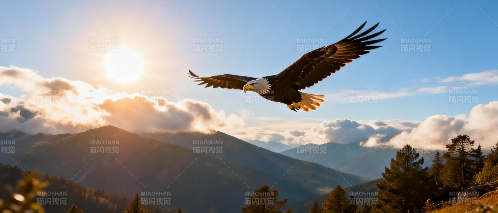 鹰击长空 山河壮美图片