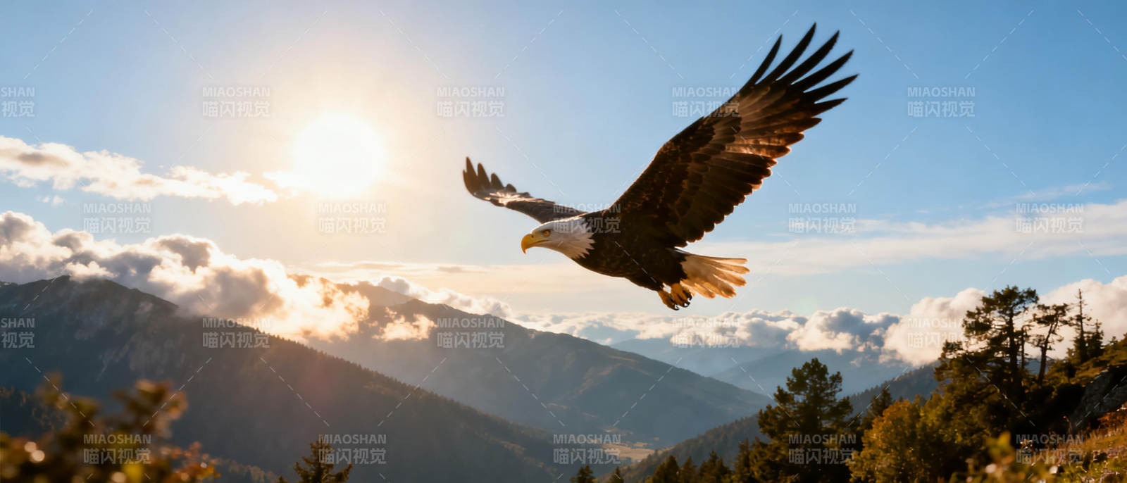雄鹰翱翔山间图片